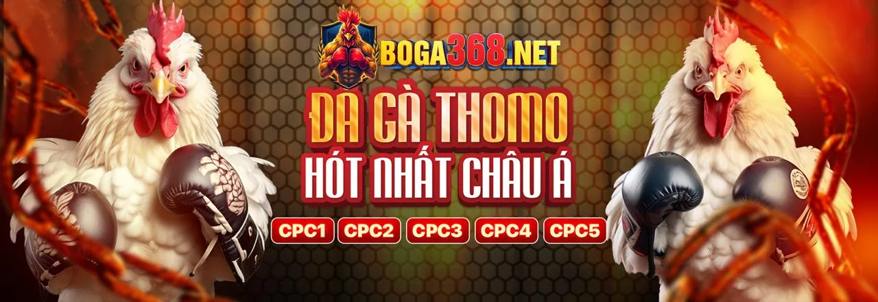 Đá gà trực tuyến Fun88 Việt